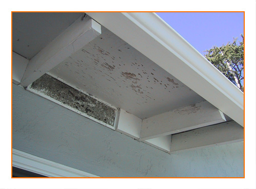 Screenshot description goes here.