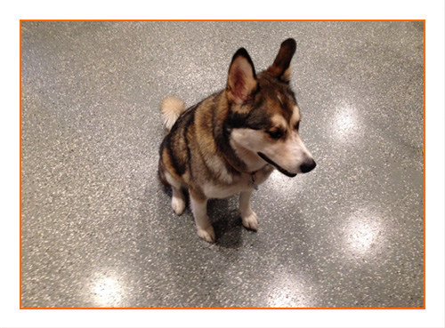 Screenshot description goes here.