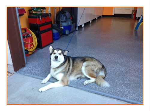 Screenshot description goes here.