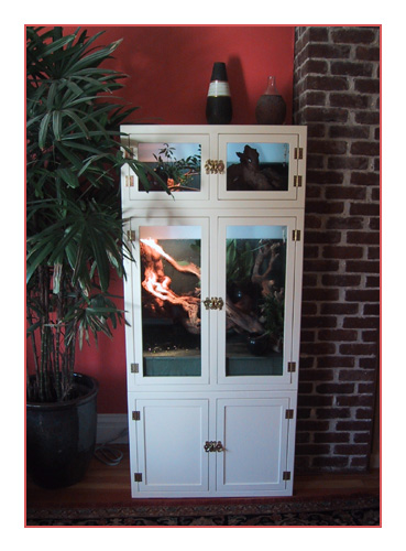 Screenshot description goes here.